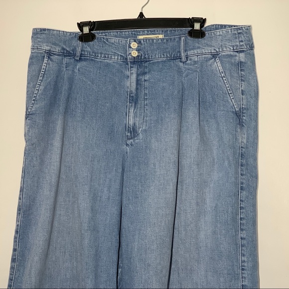 Madewell Pleated Wide-Leg Jeans Plus Size - Picture 5 of 15